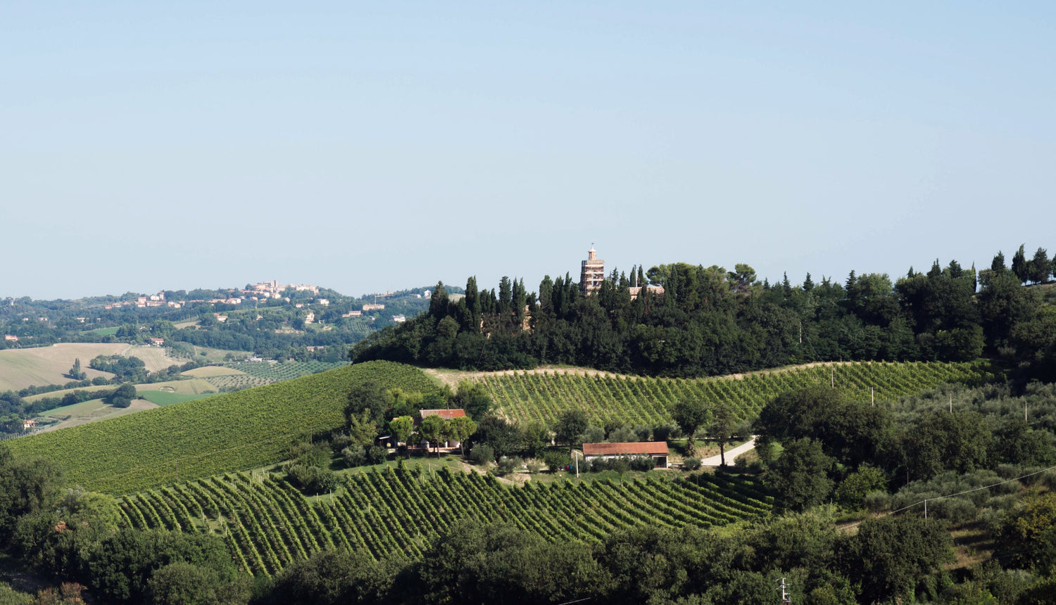 Crespaia: sospesa tra terra e mare. Vediamo la vista direzione Sud-Nord di Crespaia. L'ambiente collinare circonda la tenuta, immersa nei vigneti. Al centro cediamo l'antica chiesa del Prelato, costruzione del XVIII secolo.