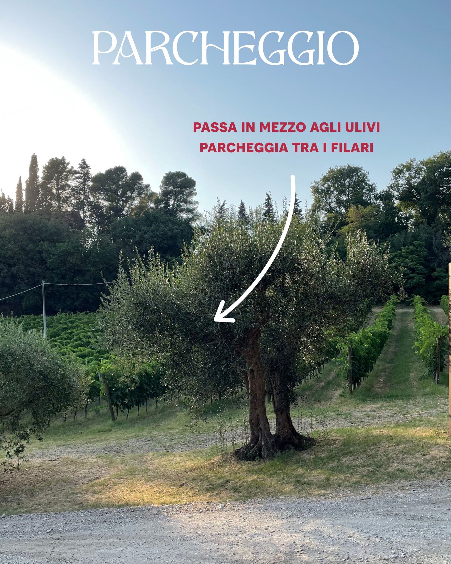 Crespaia Fall Marche(t)