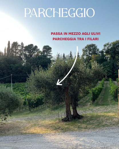 Crespaia Fall Marche(t)