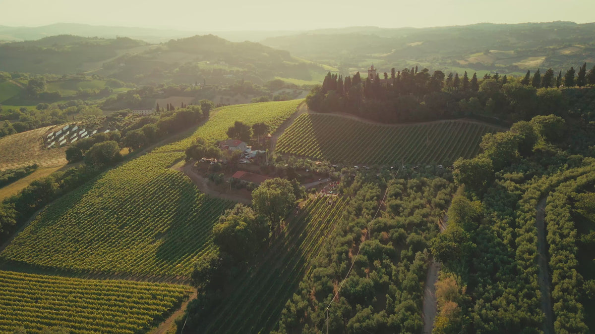 Carica il video: 